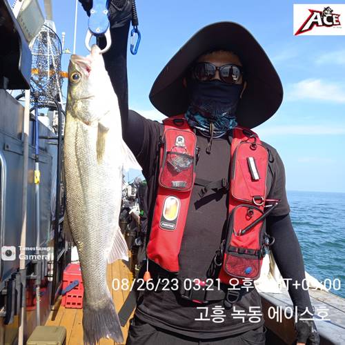 (南)남해조황 - [고흥 녹동 에이스호] 외수질 조황입니다